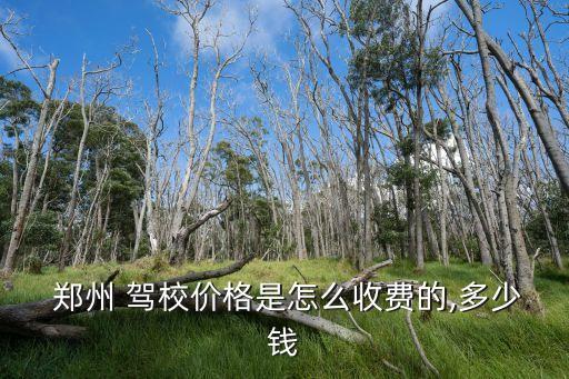 鄭州駕校