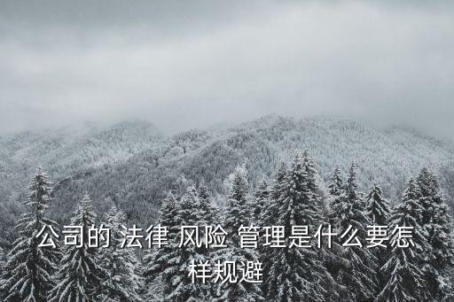 合同法律風險管理有哪些,企業(yè)法律風險管理有哪些特點