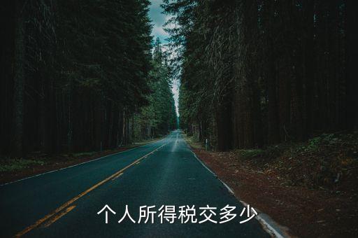 個(gè)人所得稅交多少