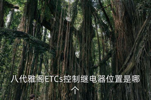 八代雅閣ETCs控制繼電器位置是哪個(gè)