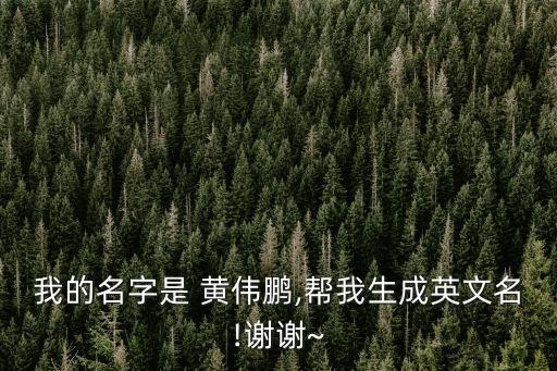 黃偉鵬
