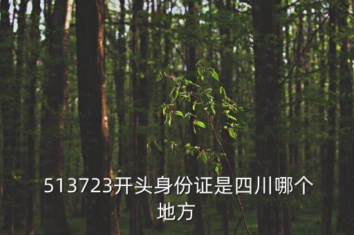 513723,身份證513723
