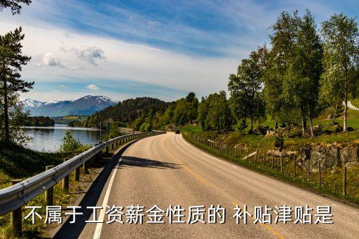 不屬于工資薪金性質(zhì)的 補(bǔ)貼津貼是
