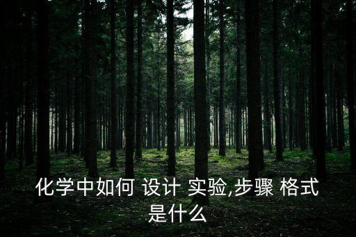 化學中如何 設(shè)計 實驗,步驟 格式是什么