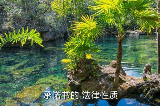  承諾書的 法律性質(zhì)
