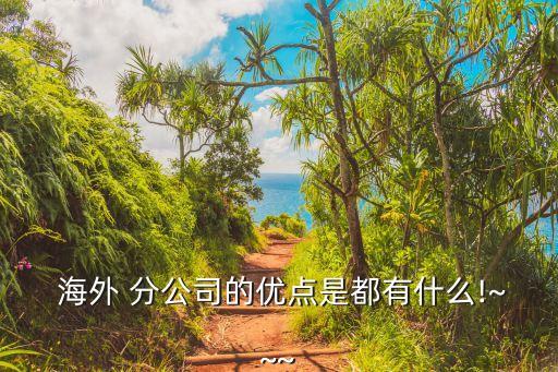  海外 分公司的優(yōu)點(diǎn)是都有什么!~~~