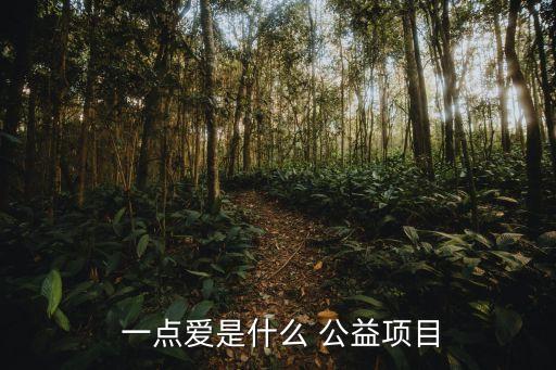一點(diǎn)公益