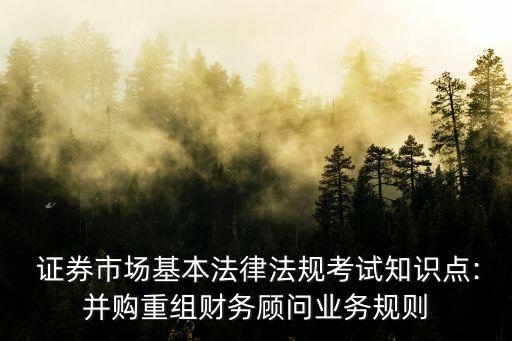 證券公司治理準(zhǔn)則