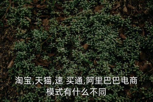 淘寶,天貓,速 買通,阿里巴巴電商模式有什么不同