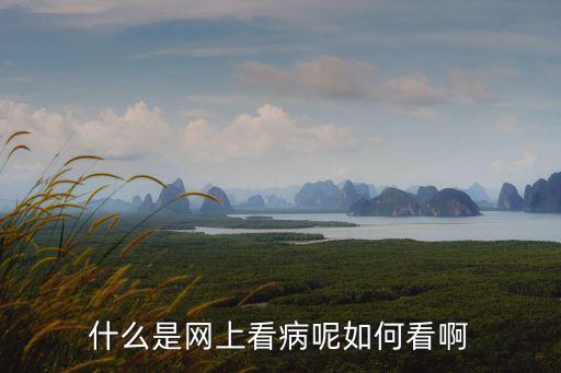 什么是網(wǎng)上看病呢如何看啊