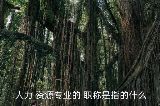 人力資源職稱,河南人力資源職稱