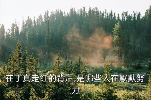 在丁真走紅的背后,是哪些人在默默努力