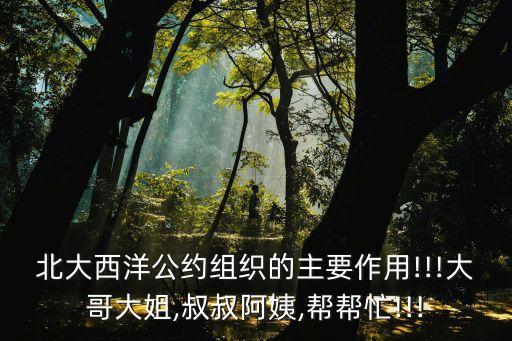 北大西洋公約組織的主要作用!!!大哥大姐,叔叔阿姨,幫幫忙!!!