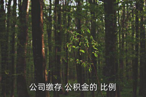 公司繳存 公積金的 比例