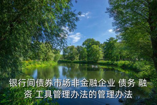 銀行間債券市場非金融企業(yè) 債務 融資 工具管理辦法的管理辦法