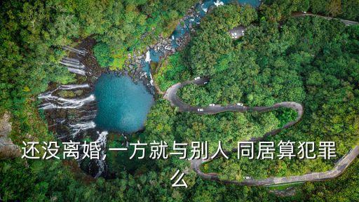 還沒離婚,一方就與別人 同居算犯罪么