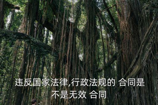  違反國(guó)家法律,行政法規(guī)的 合同是不是無效 合同
