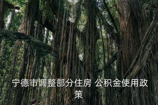 寧德公積金
