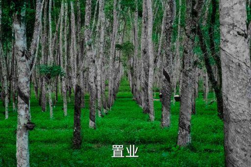 購房置業(yè)