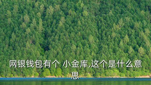 網(wǎng)銀錢包有個(gè) 小金庫,這個(gè)是什么意思