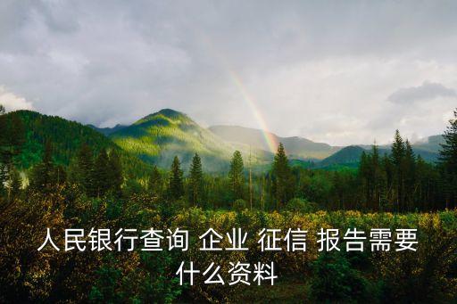 人民銀行查詢 企業(yè) 征信 報告需要什么資料