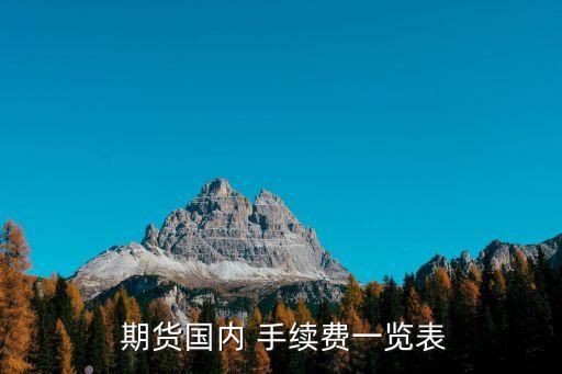  期貨國內(nèi) 手續(xù)費(fèi)一覽表