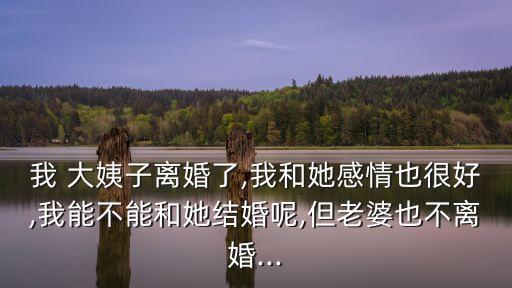 我的大姨子,母親3韓劇國語版