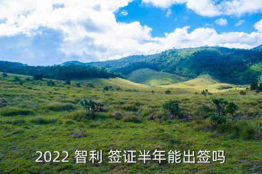 2022 智利 簽證半年能出簽嗎