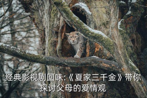 于靚,夏家三千金于靚