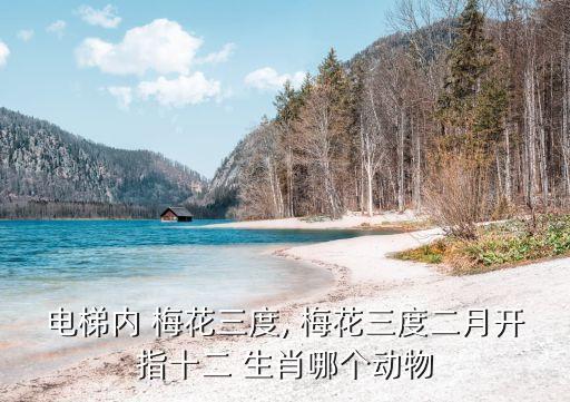梅花三月二度開是什么生肖,梅花最準(zhǔn)確的生肖是什么