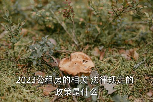 法律政策