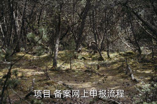  項目 備案網(wǎng)上申報流程