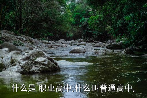 什么是 職業(yè)高中,什么叫普通高中,