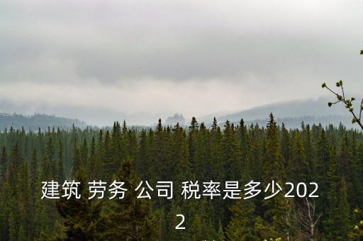 勞務(wù)公司稅率,2023年小規(guī)模勞務(wù)公司稅率