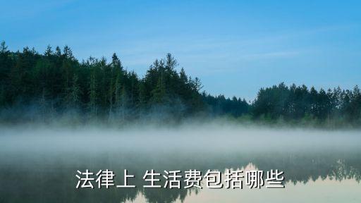 生活費(fèi)