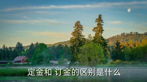  定金和 訂金的區(qū)別是什么