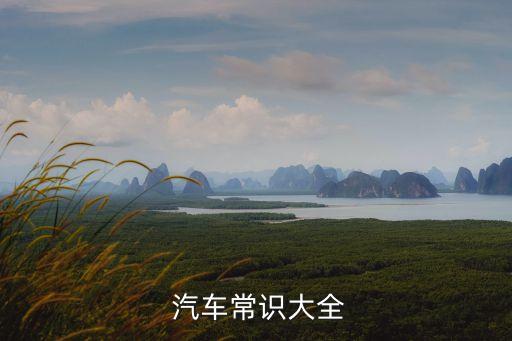 汽車(chē)知識(shí)入門(mén)大全,了解車(chē)應(yīng)該下載什么軟件