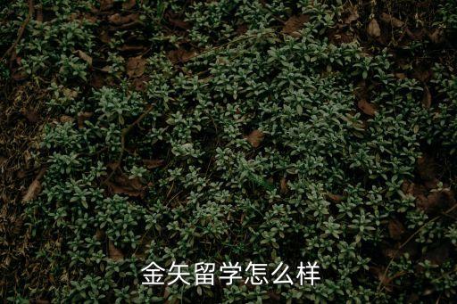 金矢,金錢樹怎么養(yǎng)護(hù)與澆水