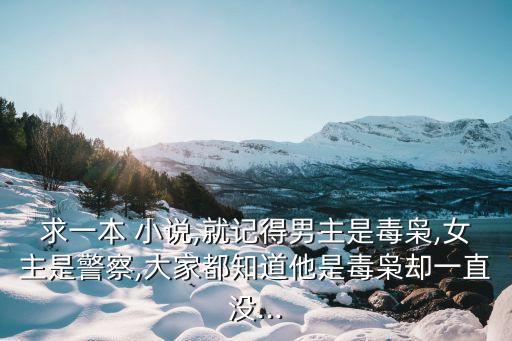 求一本 小說,就記得男主是毒梟,女主是警察,大家都知道他是毒梟卻一直沒...