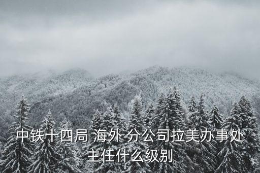 海外分公司,中鐵四局海外分公司