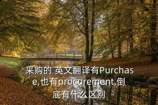  采購的 英文翻譯有Purchase,也有procurement,倒底有什么區(qū)別