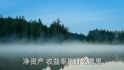 平均凈資產(chǎn)收益率,電力行業(yè)2022年平均凈資產(chǎn)收益率