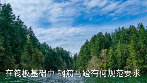 鋼筋支架,建筑工地使用的鋼筋支架