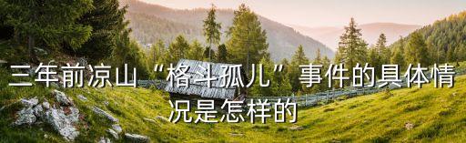 三年前涼山“格斗孤兒”事件的具體情況是怎樣的
