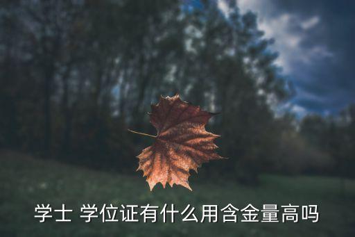 學(xué)位有什么用,臨床醫(yī)學(xué)第二學(xué)士學(xué)位有什么用