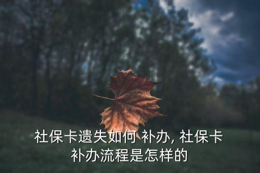 怎樣補(bǔ)辦社?？?社保丟失了怎么補(bǔ)卡