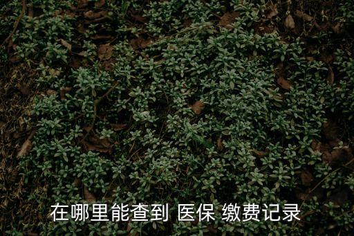 在哪里能查到 醫(yī)保 繳費(fèi)記錄