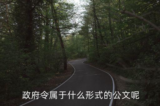 政府令是規(guī)章,市級政府可以制定規(guī)章嗎