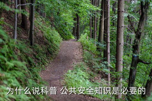 公共安全教育