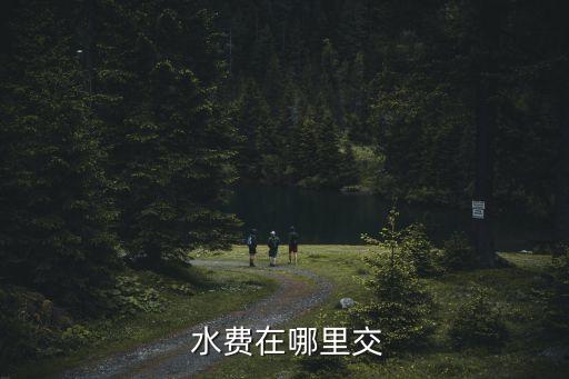  水費(fèi)在哪里交